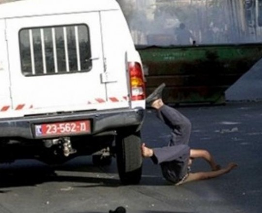 تــــعبيرية