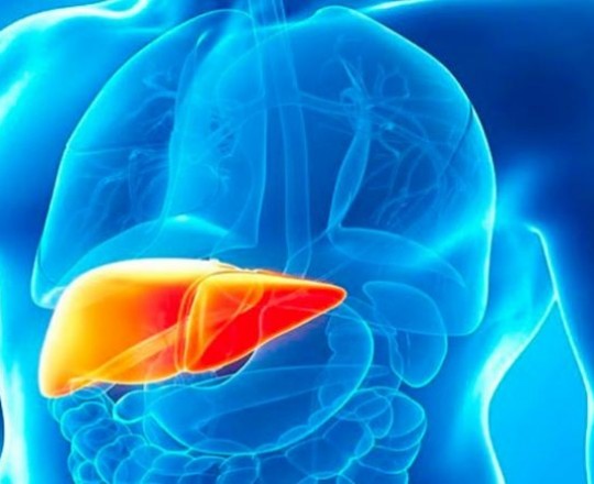 وزارة الصحة: لا إصابات التهاب كبد فيروسي من مواليد بعد 1992