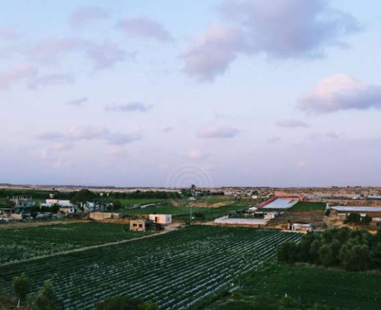 الأجواء الغائمة فوق مدينة غزة- تصوير/ خالد أبو الجديان