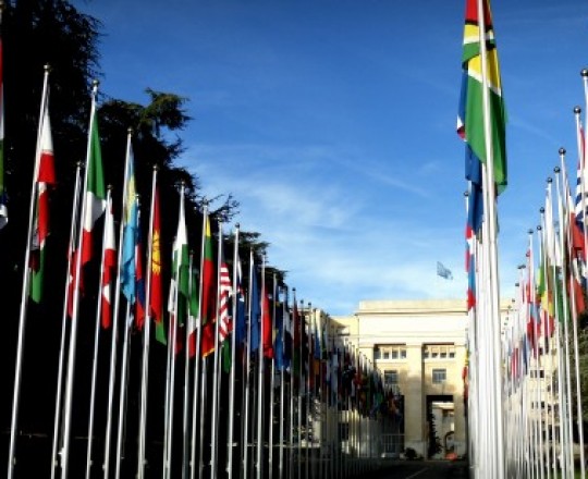 يحق للدول الأعضاء في الأمم المتحدة فقط رفع علمها في مقر المنظمة ومكاتبها