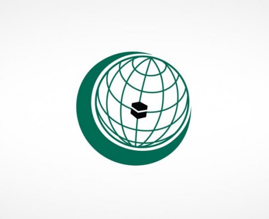 شعار المنظمة