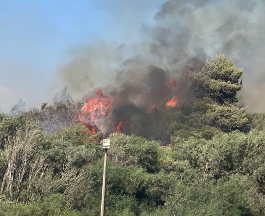 صورة للحريق