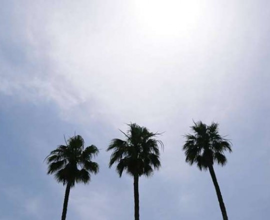 انخفاض طفيف على الحرارة