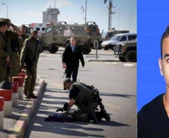 الشهيد أحمد أبو الرب