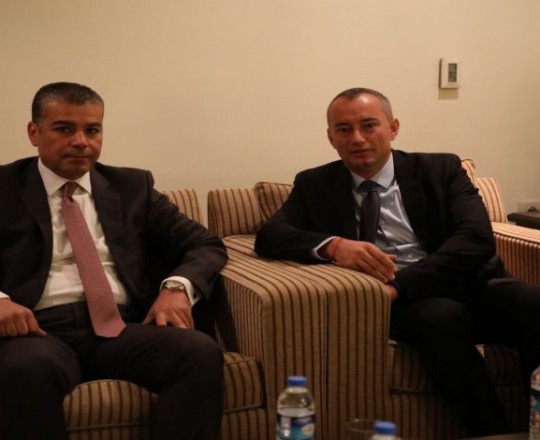 ميلادينوف مع الوفد المصري