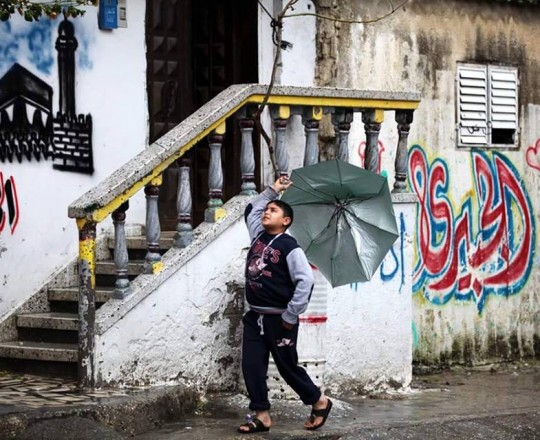 تصوير/ خالد أبو الجديان