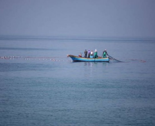 الصيادين في بحر غزة