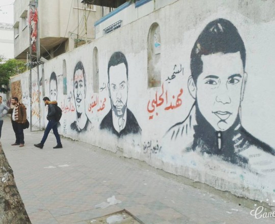 12310568_1050122241731343_7532682867672133419_n