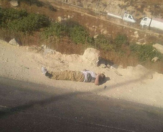 شهيد الخليل، أعدمه جنود الاحتلال، يوم أمس الثلاثاء