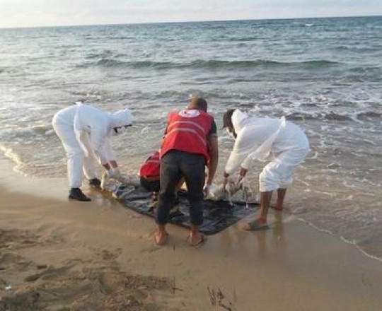 أرشيفية