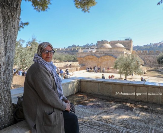 المسنة الفلسطينية نفيسة خويص