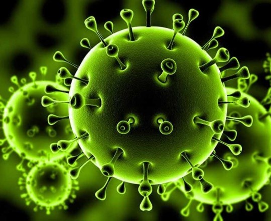 كورونا.jpg