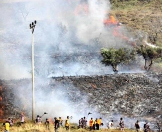 صورة تعبيرية 