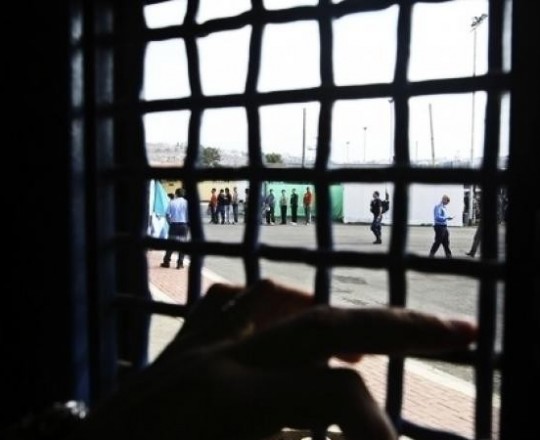 صورة توضيحية 