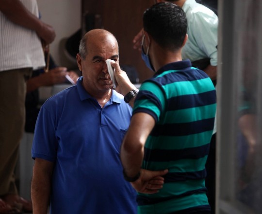 كورونا في غزة 