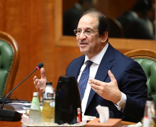 وزير المخابرات المصري عباس كامل