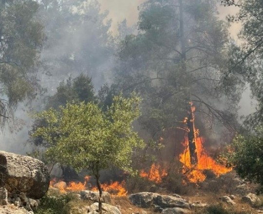 حرائق القدس