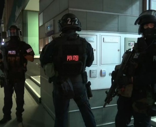 الشرطة النمساوية 