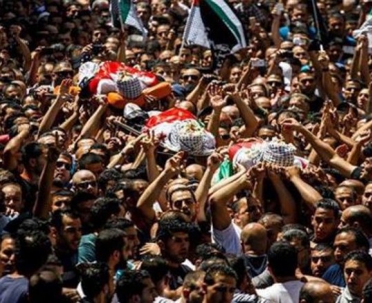 جثامين شهداء