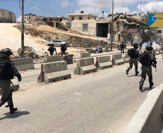 32350148_407406923066781_1450884237996589056_n