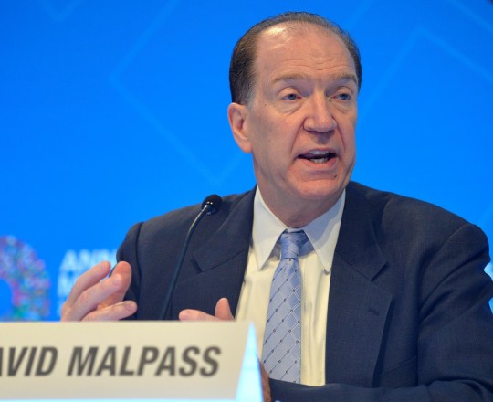 ديفيد مالباس