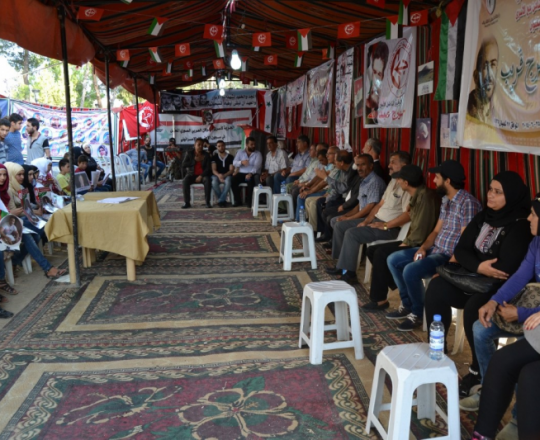 manar-09600300014708318941-e1470831903131