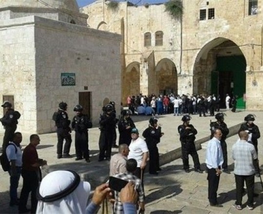 مستوطنون يستأنفون اقتحاماتهم الاستفزازية للمسجد الأقصى