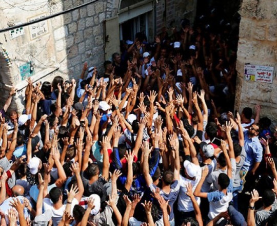 أي عرب أنتم....؟؟