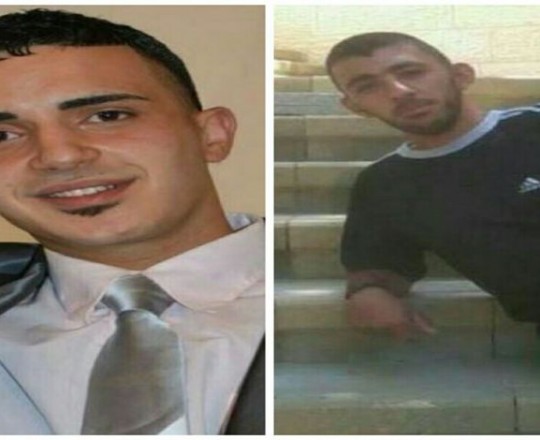 الشهيدين الغزالي وأبو شعبان 