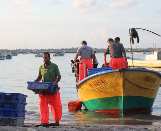 صيادو منطقة السودانيّة - شمال غرب مدينة غزّة