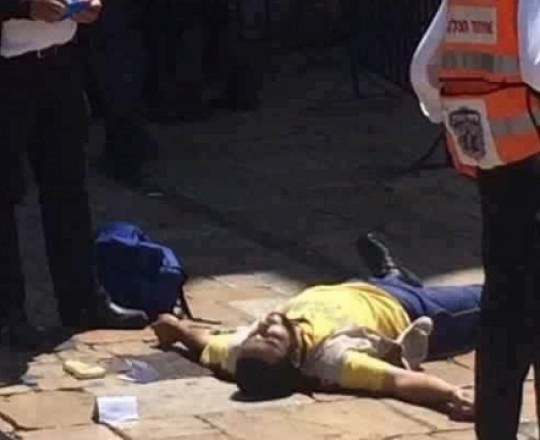 الشهيد العمرو