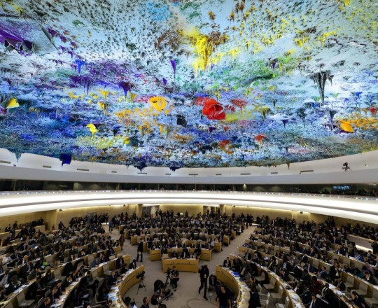 مجلس حقوق الانسان التابع للأمم المتحدة