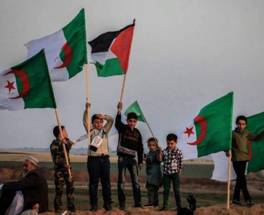 صورة من غزة