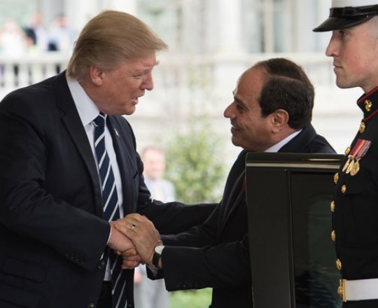 38236-قمة-السيسى-ترامب-(9)