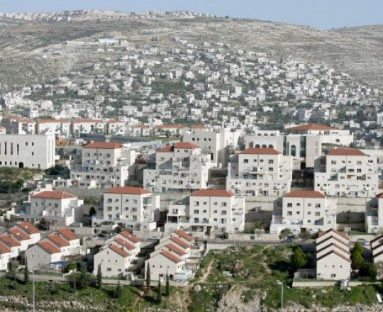 أرشيفية