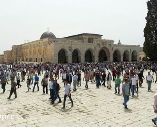 12919871_562717217222855_4815117626364474319_n