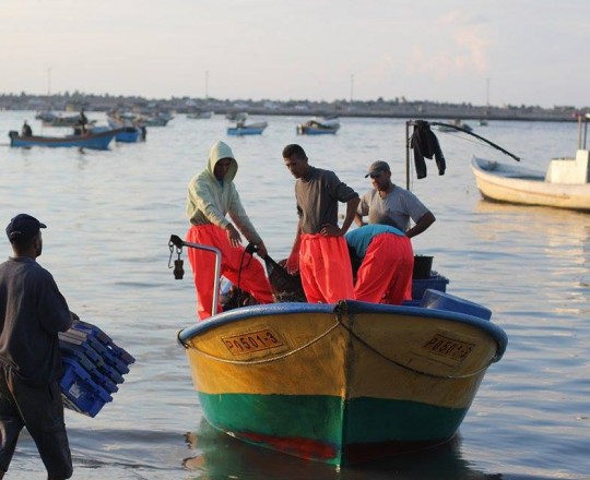 صيادو شمال القطاع
