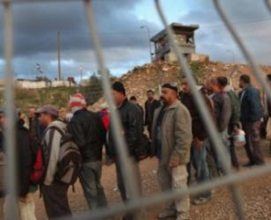 تصاريح عمال