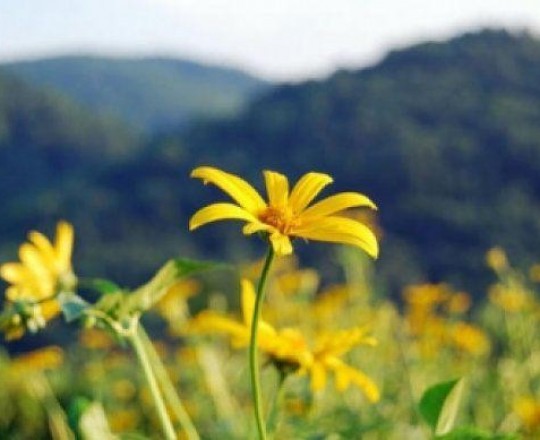 انخفاض ملموس على درجات الحرارة