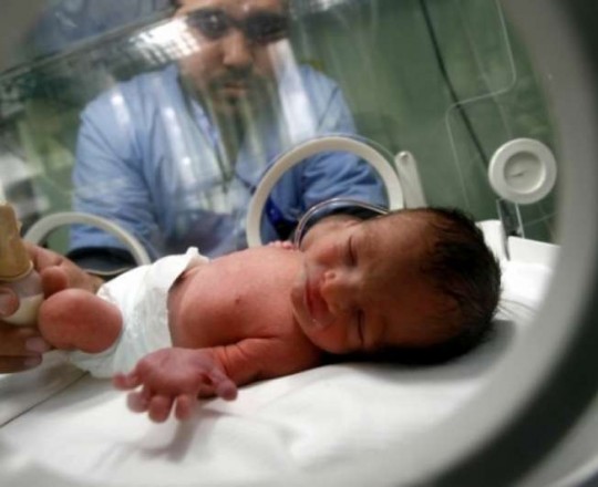 4961 مولود جديد في قطاع غزة خلال أغسطس