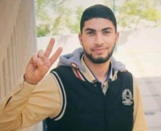 الأسير أنس عواد 