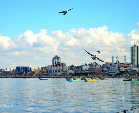 بحر مدينة غزة