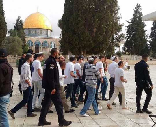 مستوطنون يجددون اقتحاماتهم لباحات المسجد الأقصى