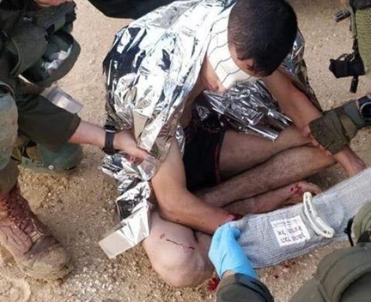 صورة توضيحية 