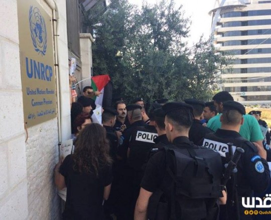 الامم المتحدة