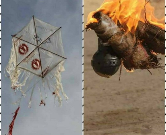 4929ad21-167a-4a91-9c2a-6f8fd79c1e46