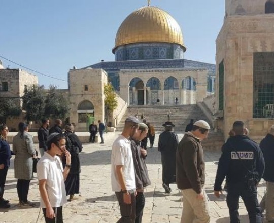 مستوطنون يقتحمون باحات الأقصى والاحتلال يبعد موظفي الأوقاف من المكان