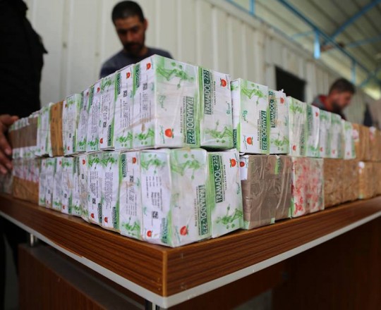 ضبط كميات من الحبوب المخدرة شمال رفح