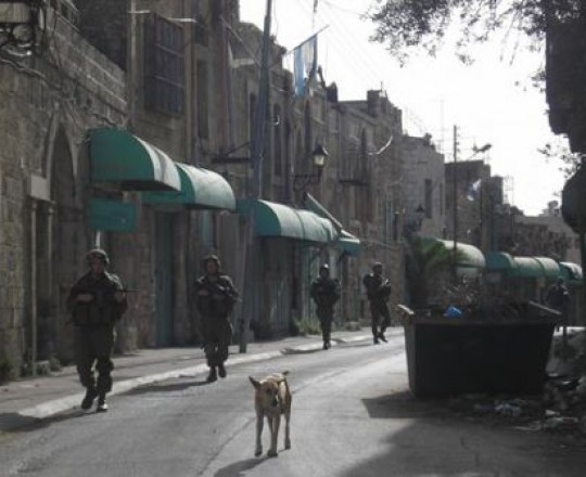 ارشيفية - جنود الاحتلال داخل حي ارميدة بمدينة الخليل المحتلة