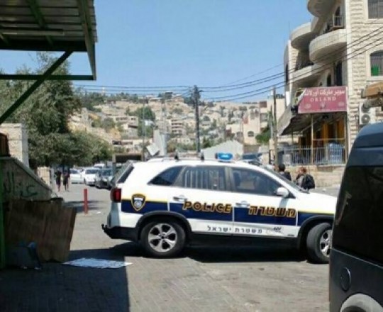 ارشيفية 